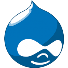 Drupal Icon